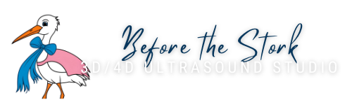 Before the Stork 3D/4D Ultrasound Studio